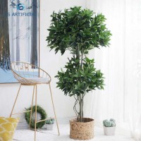 GST004 bonsai_house plant_potted plant  1.6m high ficus tree for decoration